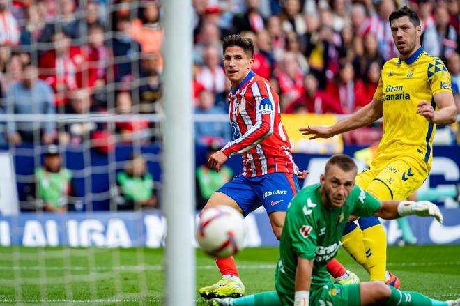 Giuliano Simeone tras anotar gol contra Las Palmas (Cordon Press)