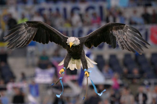 Olimpia, el águila de la Lazio (Foto: Cordon Press).