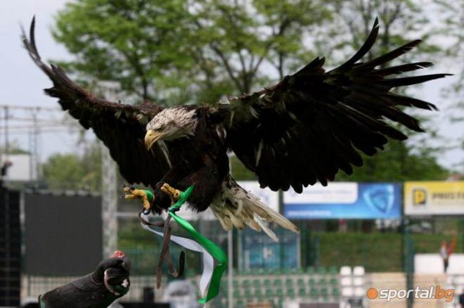 Fortuna, el Águila del Ludogorets.