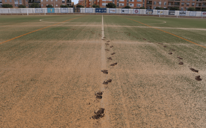 Campo Mundial 82 de Catarroja