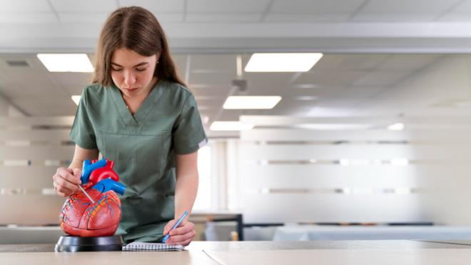 Mujer estudia la forma de un corazón anatómico (Foto: Freepik)