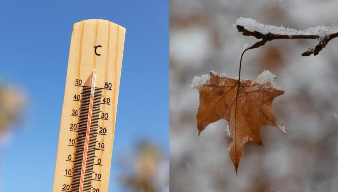 Termómetro en verano y hoja de otoño congelada (Foto: Freepik)