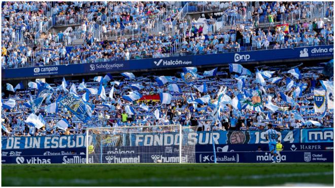 Estadio de La Rosaleda (Fuente: Europa Press)