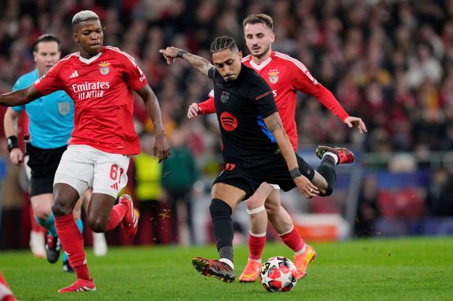 Raphinha, en una jugada del Benfica-Barcelona (FOTO: Cordón Press).