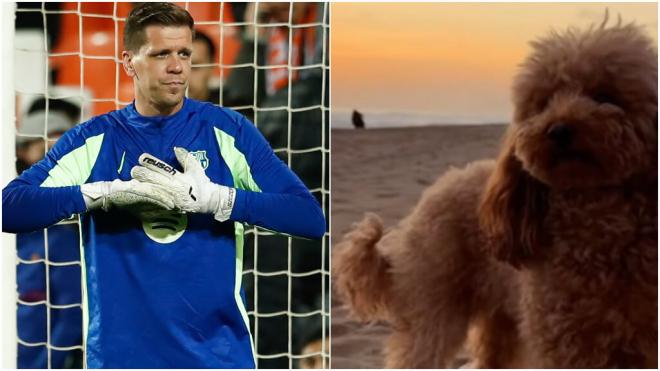 Szczesny en un partido con el Barça y Nala, la perra del portero (Europa Press/ @noticiasdecastell