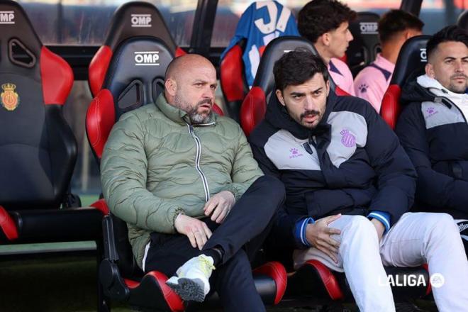 Manolo González, en el banquillo del Espanyol-Mallorca (Foto: LALIGA).