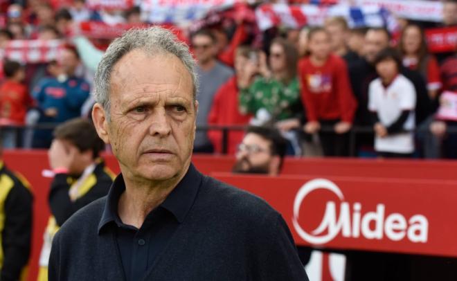 Joaquín Caparrós, en el Sevilla-Alavés (Foto: Kiko Hurtado).