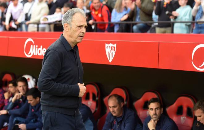 Joaquín Caparrós, en el Sevilla-Alavés (Foto: Kiko Hurtado).
