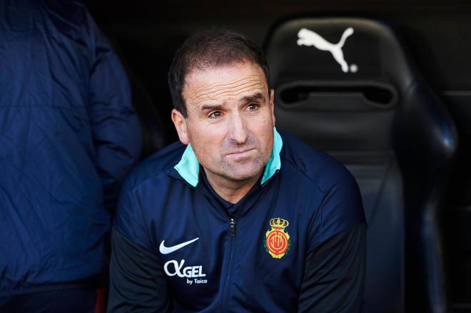 Jagoba Arrasate, entrenador del Mallorca (Cordon Press)