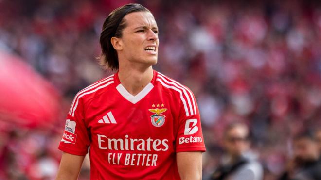 Álvaro Carreras, jugador del Benfica (Foto: Cordon Press)