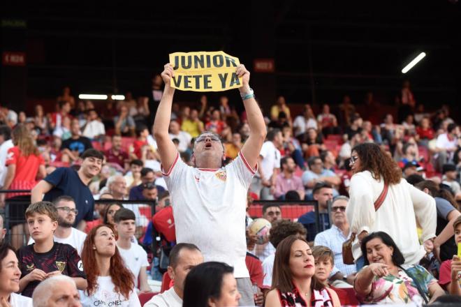 Protesta de un aficionado del Sevilla contra Del Nido Carrasco (Foto: Kiko Hurtado).