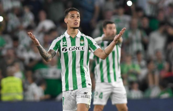 Antony celebra su gol en el Betis-Valencia (Foto: Kiko Hurtado).