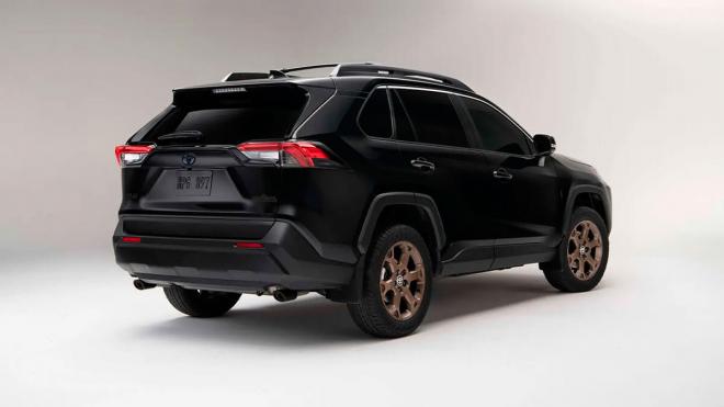 Toyota RAV4 Woodland