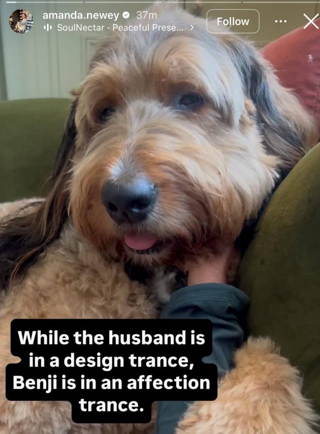 La mujer de Adrian Newey, compartiendo en Instagram una foto con su perro