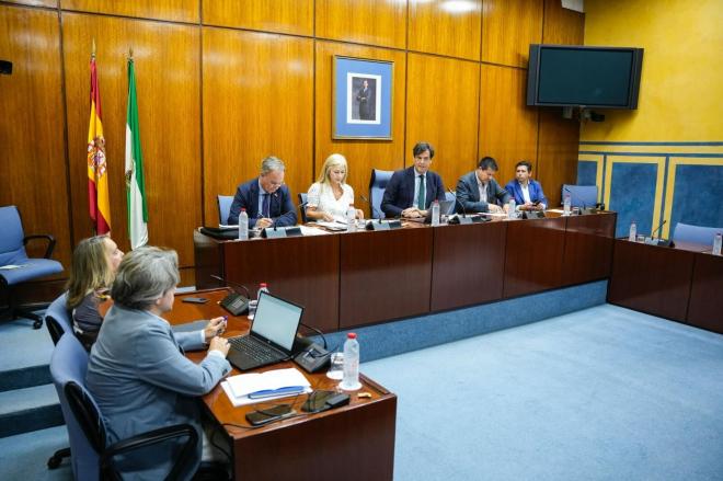 Patricia del Pozo, durante una reunión en el Parlamento de Andalucía.