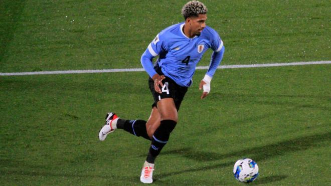 Ronald Araújo, con la Selección de Uruguay (foto: Cordon Press).