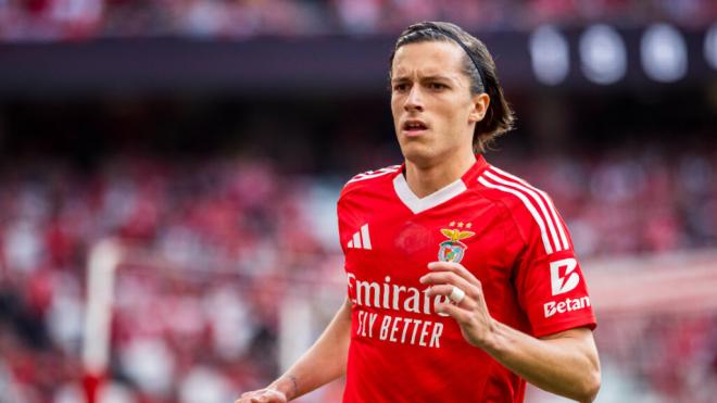 Álvaro Carreras en un partido con el Benfica (Cordon Press)