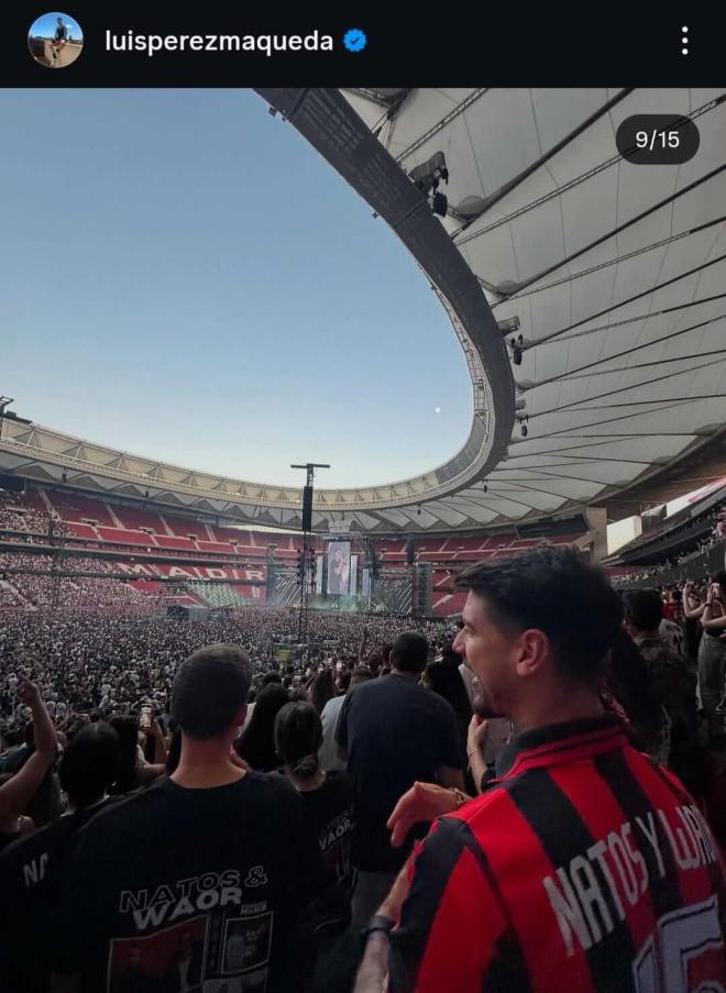 Luis Pérez en el concierto de Natos y Waor