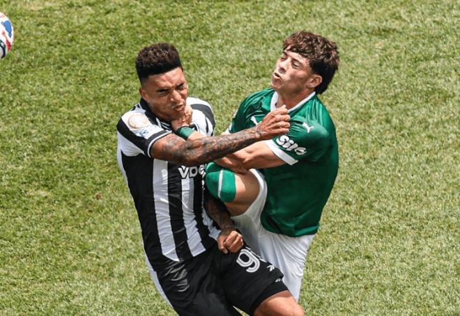 Acción del Palmeiras - Botafogo del Mundial de Clubes (Foto: X)