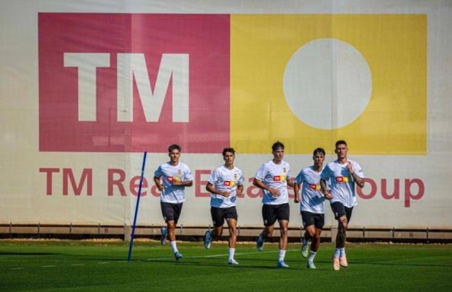 Entrenamiento