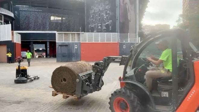 Cambio césped Mestallla julio 2025