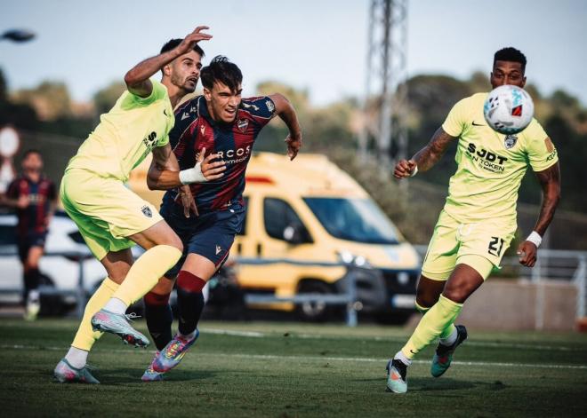 Levante - Johor