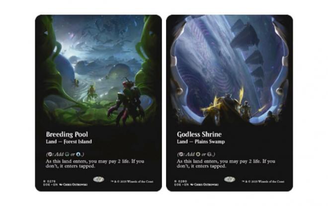 Magic: The Gathering