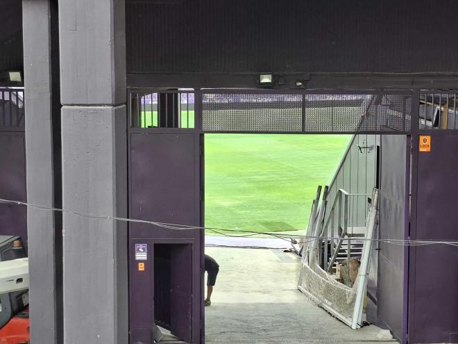 Situación del césped del Nuevo Estadio José Zorrilla