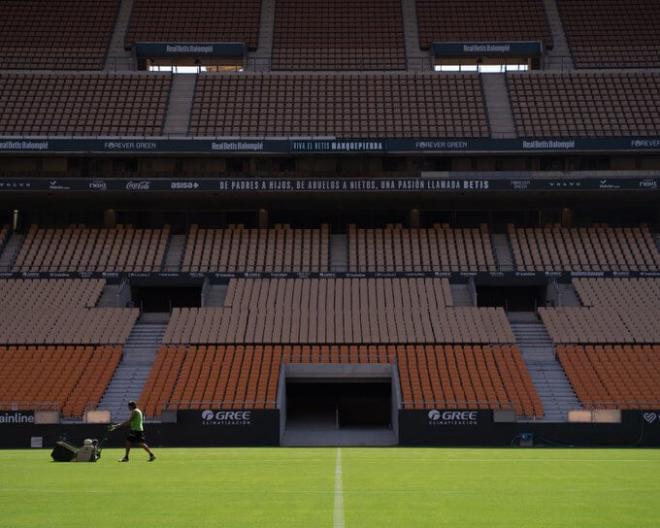 El Estadio de La Cartuja, preparado para acoger al Betis (Foto: RBB).
