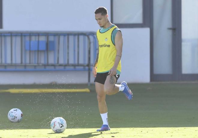 Antony, en el entrenamiento del Betis (Foto: Kiko Hurtado)