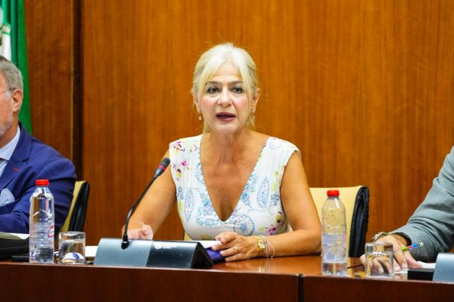 La consejera de Cultura y Deporte de la Junta de Andalucía Patricia del Pozo.