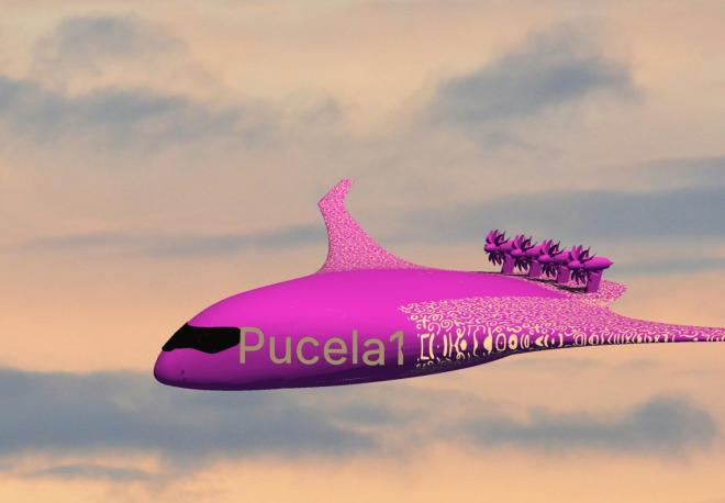 El avión diseñado por Óscar Puente, el 