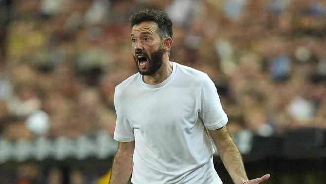 Carlos Corberán grita en Mestalla (Foto: Cordon Press)