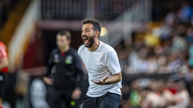 Carlos Corberán en Mestalla prepara cambios para el Girona - Valencia CF (Foto: Valencia CF)