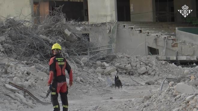 Los Bomberos de Sevilla entrenan en el Benito Villamarín con sus perros de rescate (Foto: Real Betis).