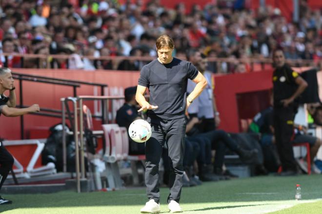 Matias Almeyda, en el Sevilla-Mallorca (Foto: Kiko Hurtado).