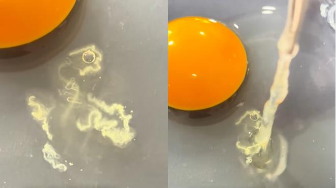 Huevo fresco con hilitos flotando en su clara (Foto: @mienfermerafavorita)