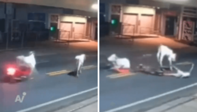 El momento del accidente de Antony Ylano.