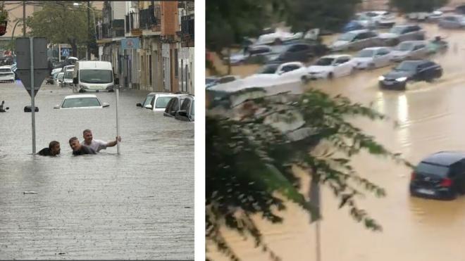 Imágenes recopiladas durante la jornada de lluvia en Sevilla.
