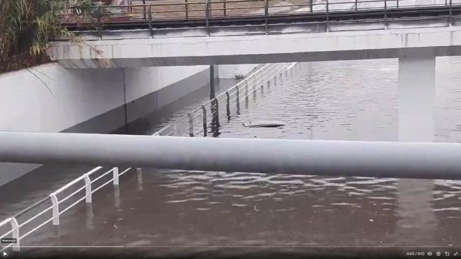 Imágenes recopiladas durante la jornada de lluvias en Sevilla.