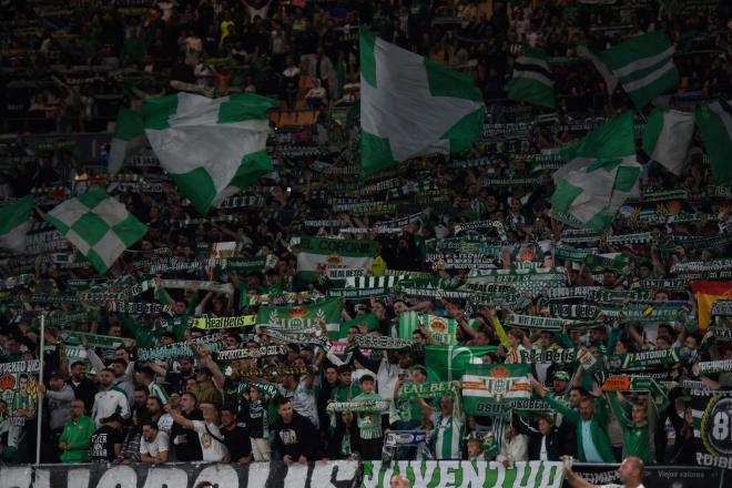 La afición del Betis, en La Cartuja (Foto: Kiko Hurtado)