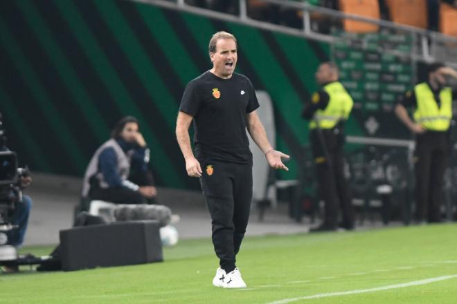 Jagoba Arrasate, durante el Betis - Mallorca (Foto: Kiko Hurtado).