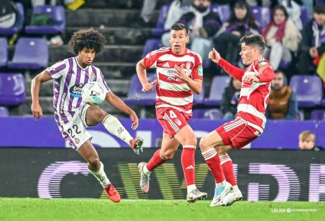 Peter Federico, ante el Granada en Zorrilla.