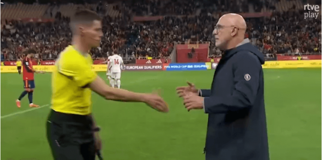 Luis de la Fuente y su gesto al linier (RTVE)