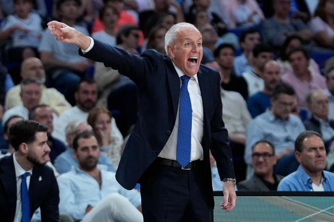 Obradovic, dirigiendo al Partizan de Belgrado. Fuente CordonPress.