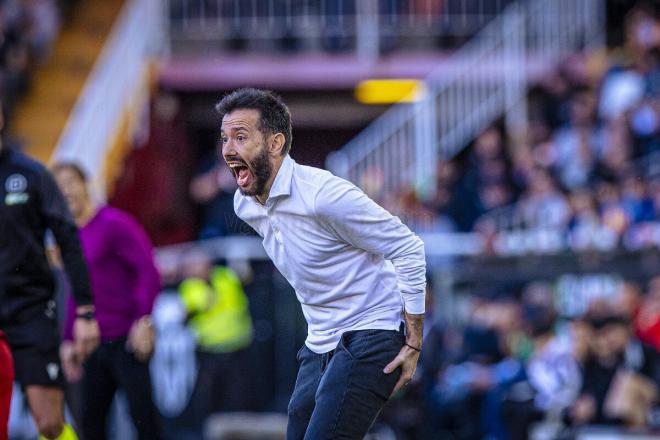 Carlos Corberán en Mestalla (Foto: VCF)