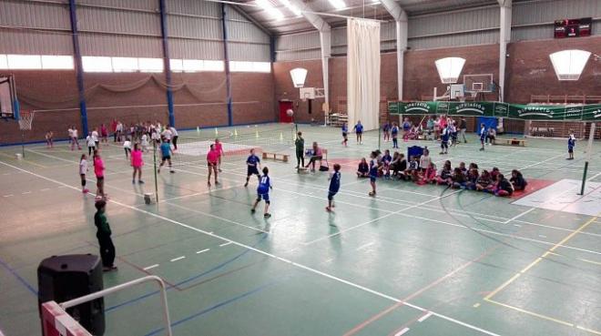 Día de campeonatos de voleibol organizado por la Diputación de Sevilla.