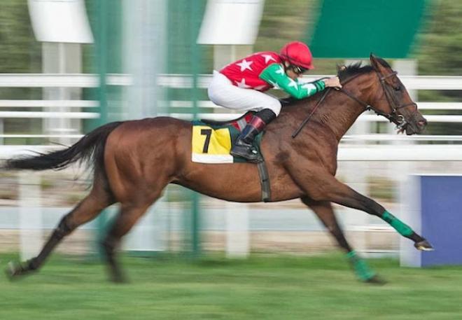 Imagen de las carreras en el hipódromo nazareno.