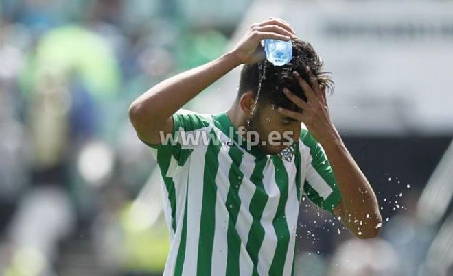 Dani Ceballos se echa agua durante un partido.