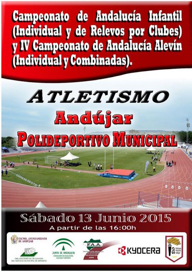 Cartel de la competición.